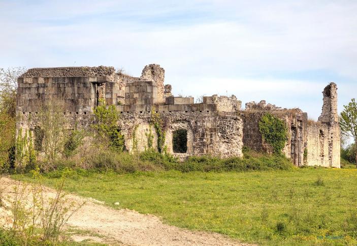 Развалины дворца Чачба-Шервашидзе
