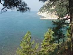 Черное море