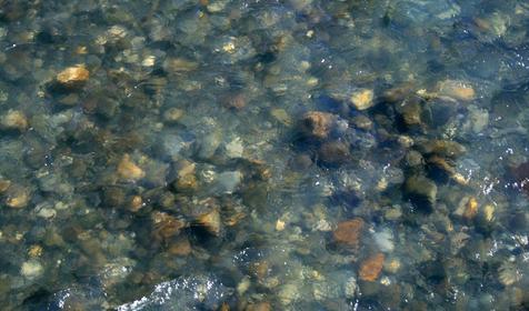 Прозрачные воды реки Сочи.