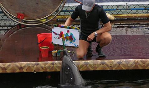 Дельфин-художник