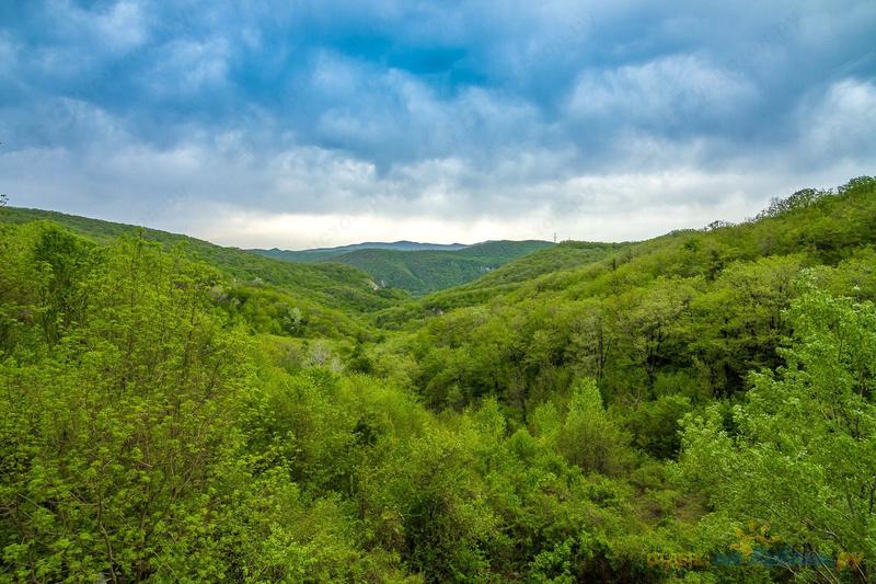 Полоз в краснодарском крае фото