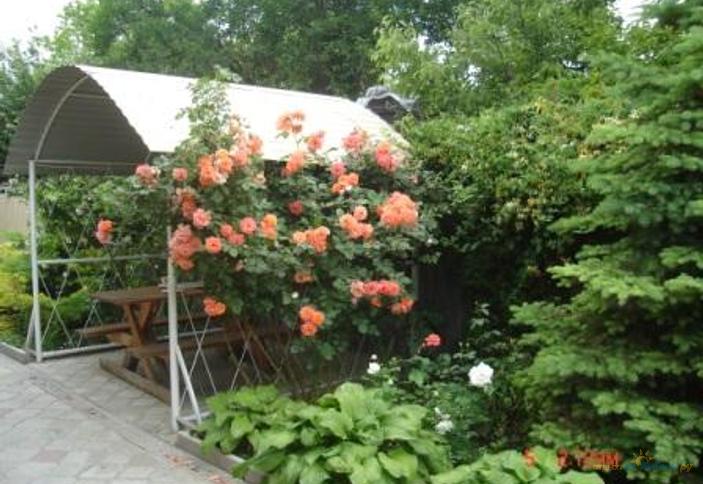 Гостиница Садовая, г. Анапа