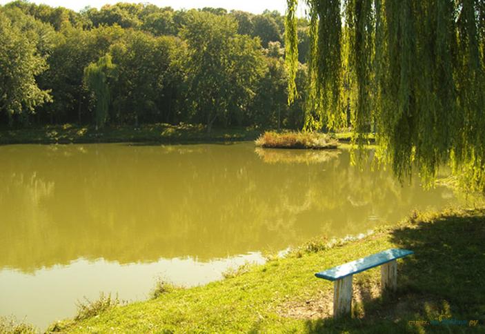 Озеро для рыбалки гостиницы Графство Хаджох, Республика Адыгея, пос. Каменномосткий