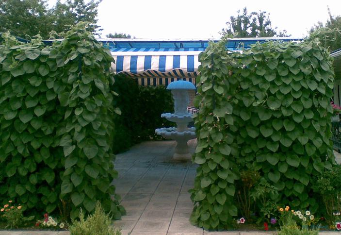 Гостиница У Пани, г. Анапа, п. Витязево