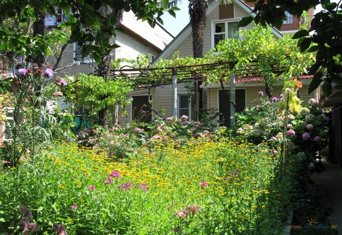 Частная гостиница Свирский двор, г. Сочи, Лазаревский район, п. Лазаревское