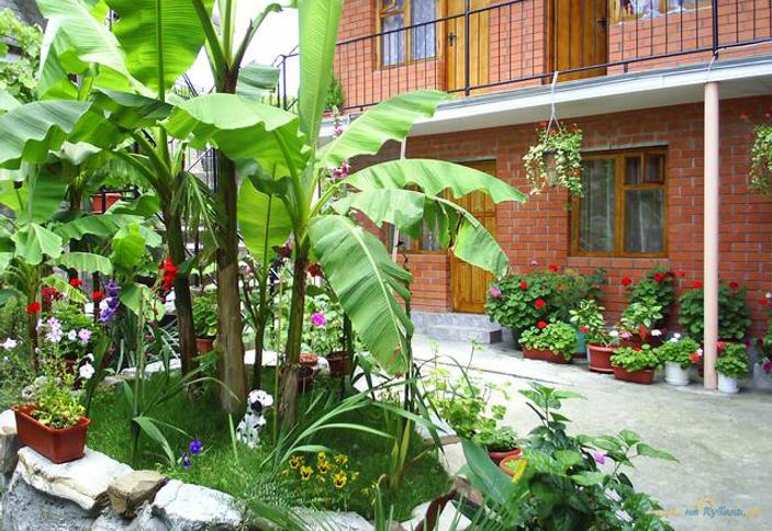 Частная гостиница Дана, г. Сочи, Лазаревский район, п. Лазаревское