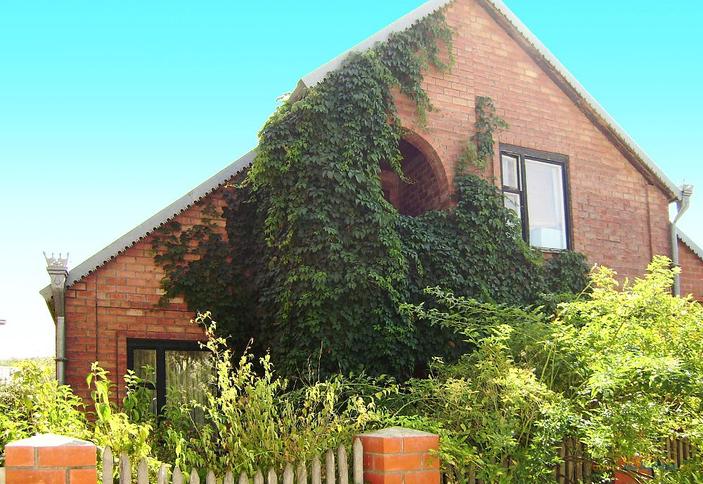 Частная гостиница Дом в саду, г. Геленджик, с. Архипо-Осиповка