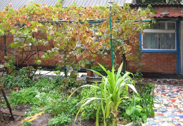 Частный дом по ул. Краснофлотская 23, г. Ейск