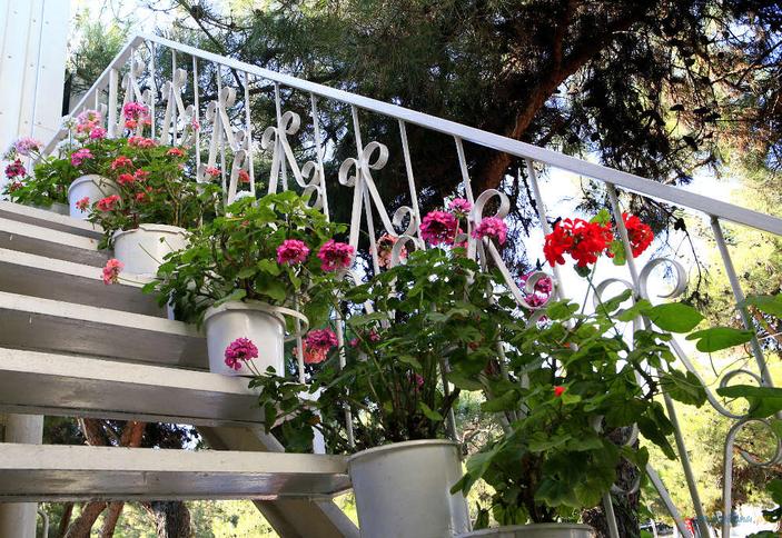 Частный дом У Владимира, г. Геленджик