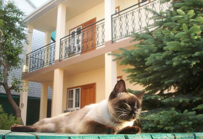 Мини-гостиница по ул. Шевченко 92, г. Анапа