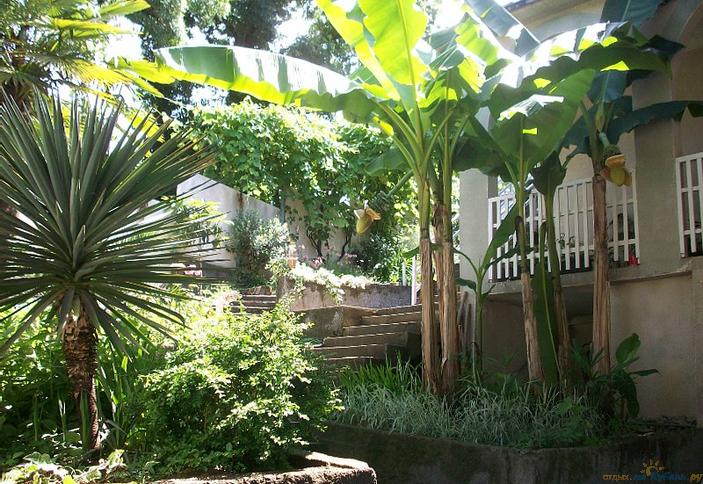 Гостевой дом Аршак, г. Сочи, Лазаревский район, п. Лоо