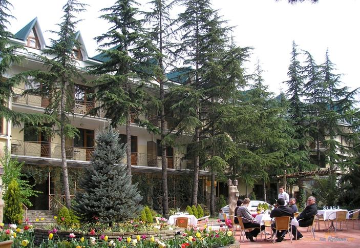 Отель Олеся, Сочи, Адлер