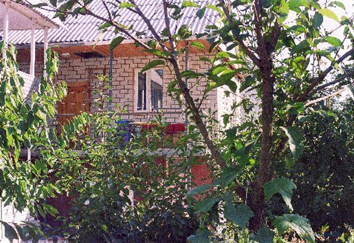 Территория, гостевой дом Русалочка, г. Геленджик, с. Кабардинка