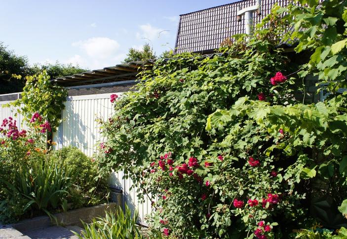 Гостевой дом Анастасия, г. Геленджик