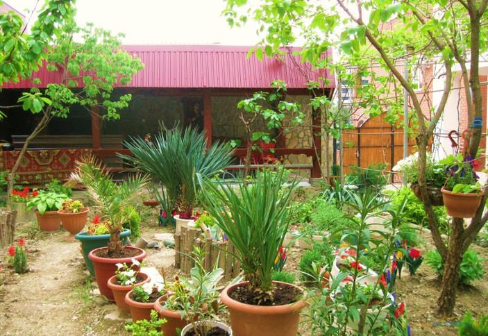 Двор с беседкой. Гостевой дом METAKSA, г. Геленджик