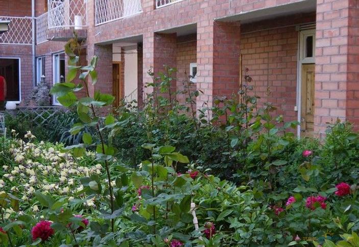 Гостевой дом Поющие в терновнике, г. Анапа