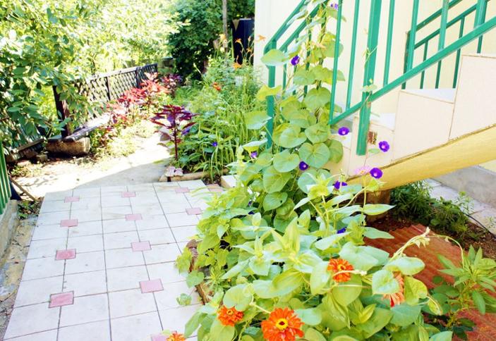 Мини-гостиница Акрополь, Анапский р-н, п. Витязево