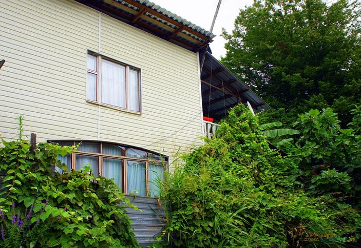 Гостевой дом Андрей, п. Хоста