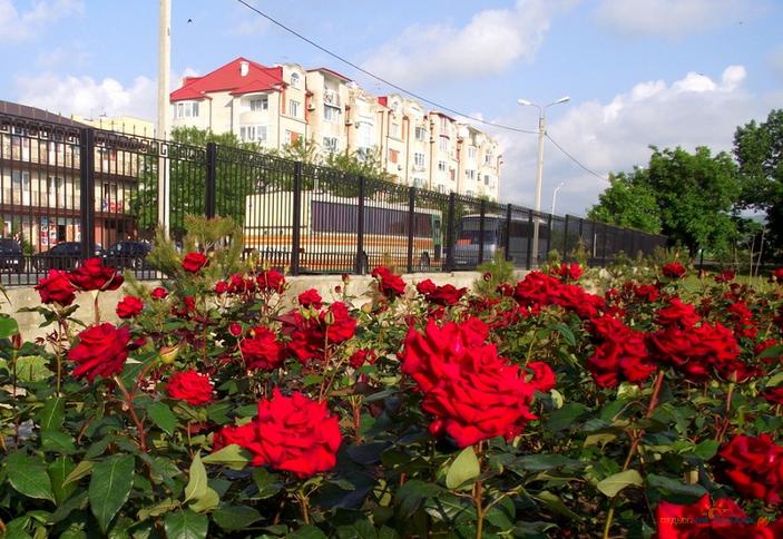 Мини-гостиница Авита, г. Анапа