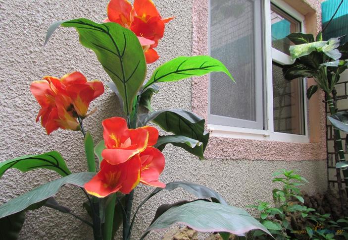 Гостевой дом Александр, г. Анапа, кп. Витязево