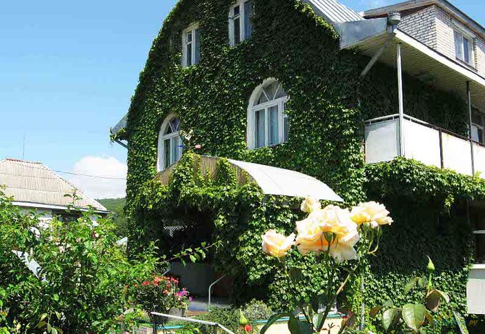 Гостевой дом Mr. Гор, Туапсинский район, с. Пляхо