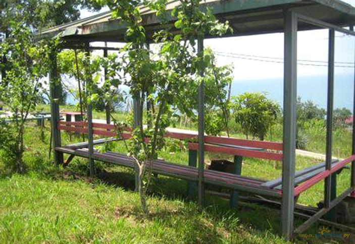 Гостевой дом Alagg, г. Сочи, Лазаревский р-н, п. Лоо