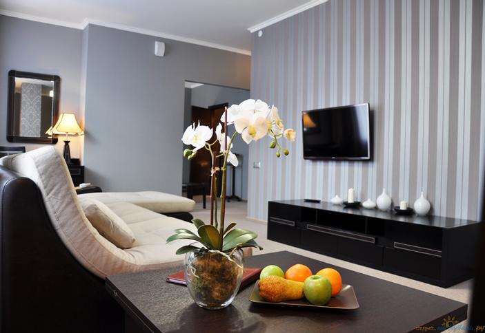 Номер Люкс. Отель Оазис, г. Краснодар