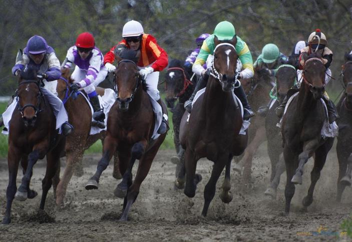 Краснодарский ипподром