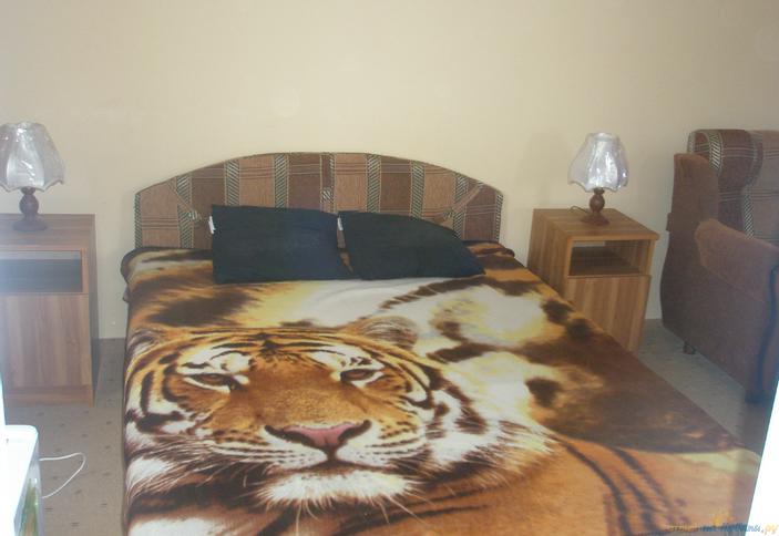 Двухместный люкс. Гостиница Аквамарин, п. Архипо-Осиповка