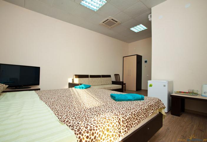 Однокомнатный люкс, апартаменты 