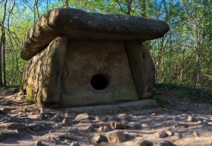 Крестьянско-фермерское хозяйство «Дольмен