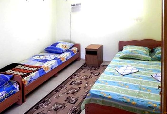 Номер комфорт первый этаж Гостевой дом Алена, ст-ца Голубицкая