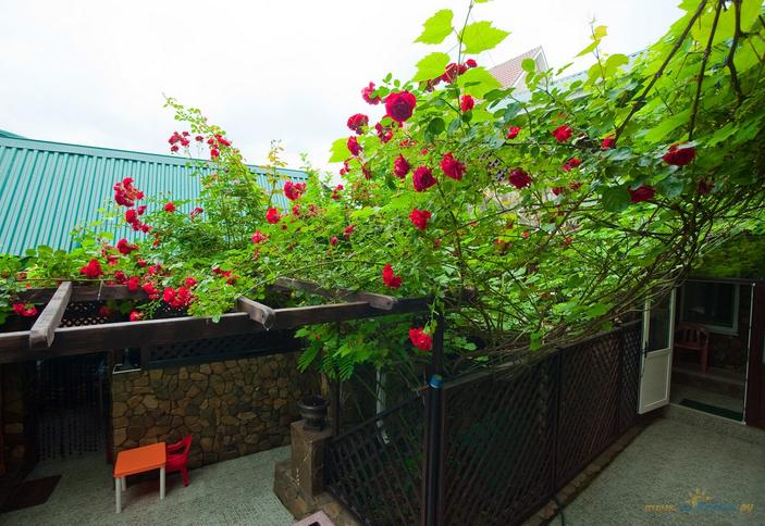 Гостевой дом Зеркальный на Зеркальной, г. Геленджик, п. Архипо-Осиповка