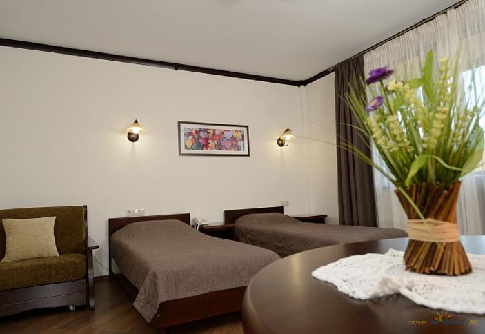 Стандарт Твин в главном корпусе. Гостевой дом Усадьба Парфенова, пос. Каменномостский