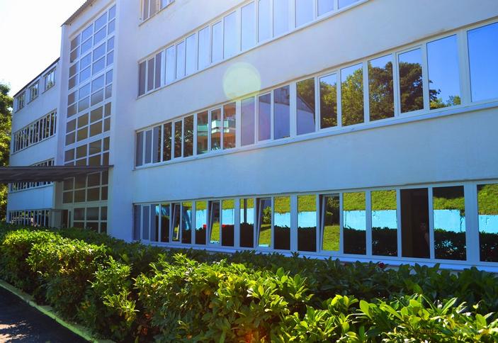 Морская звезда, Туапсинский район, п. Новомихайловский