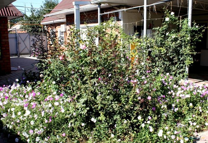 Гостевой дом На Морской, г. Ейск