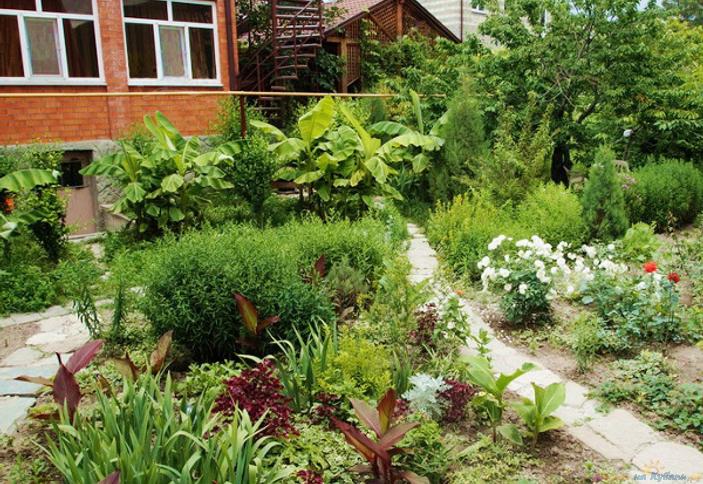 Гостевой дом У Харлампыча, г. Геленджик, с. Кабардинка