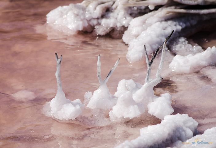 Озеро Сиваш