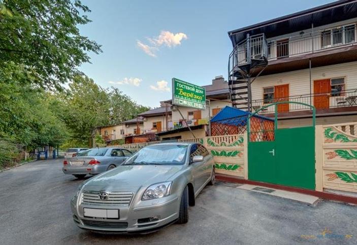 Березка в Джемете