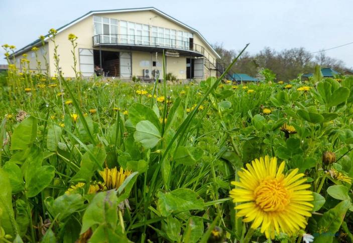 Владимировка