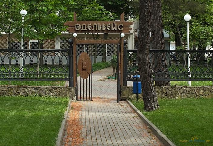 Профилакторий Эдельвейс, г. Геленджик