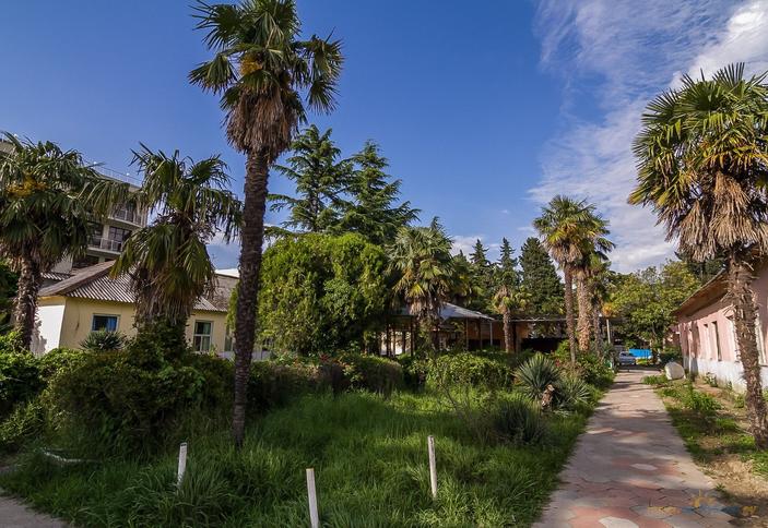 База отдыха У моря. Сочи, Лазаревское