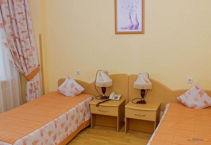 2-местный стандарт. Санаторий им. Фрунзе, Сочи, Хостинский район