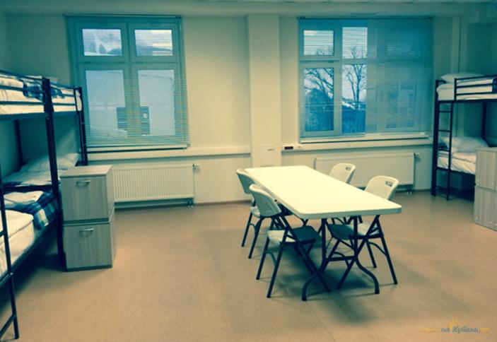 Приют Панды Адлерский район