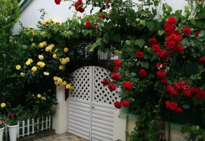 Времена года