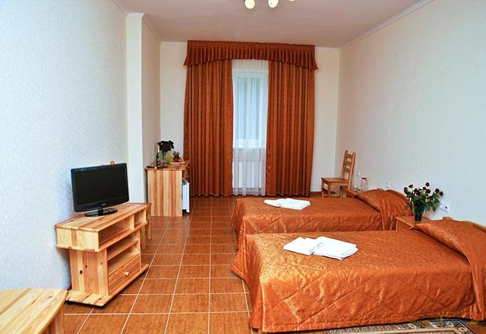 Стандарт 1 категории