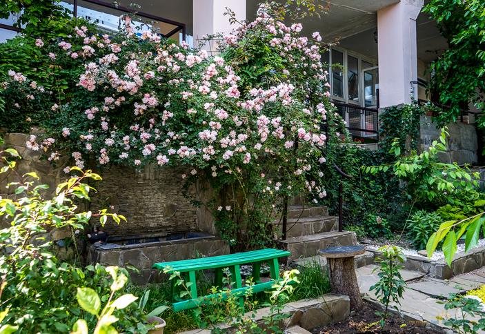 Четыре стихии