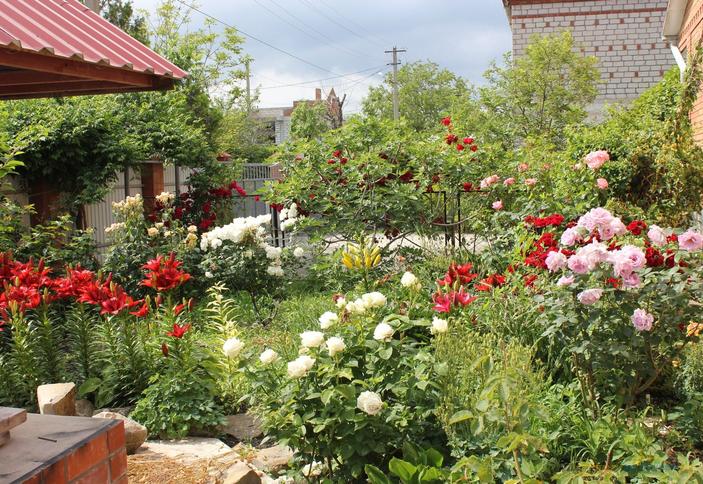 Гостевой дом Светлана, г. Новороссийск, п. Южная Озереевка