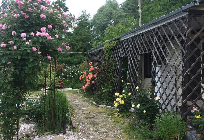 Персиковая поляна