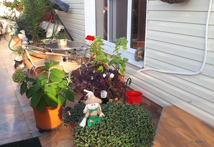 Гостевой дом 